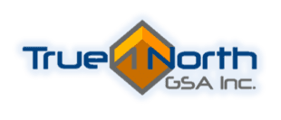 True North logo